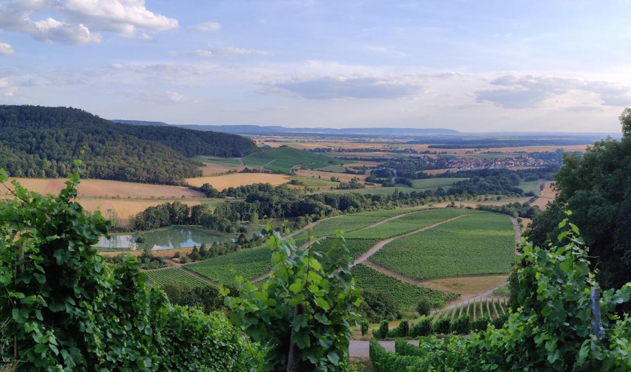 Ferienwohnung Am Hollergraben Oberschwarzach Экстерьер фото